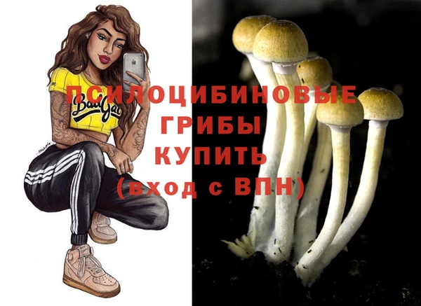 кокаин премиум Медвежьегорск