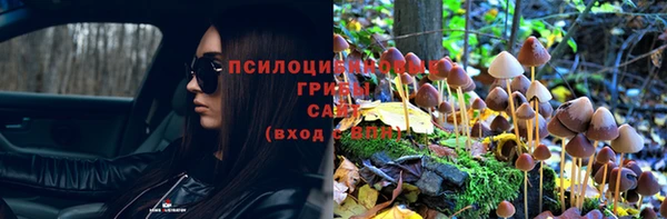 прущие крисы Мегион