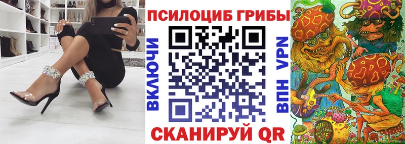 Галлюциногенные грибы Psilocybe  купить  цена  МЕГА как зайти  Красково 